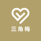 云南小汤三角梅