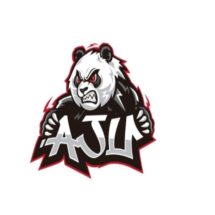 AJU高定制刹车系统