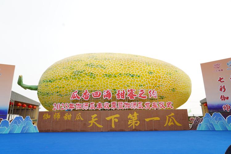法提水果