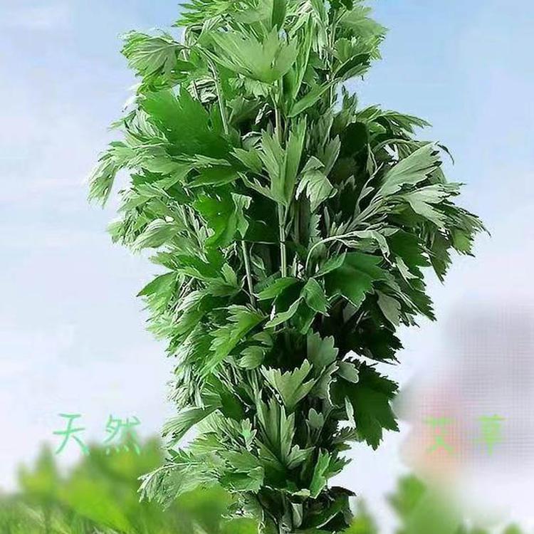 陈年艾制品大全