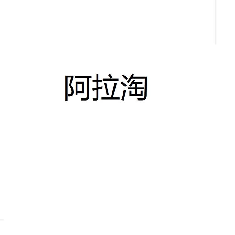 阿拉淘电子商务个体店