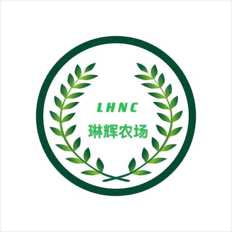 濉溪县韩村琳辉农场的小店