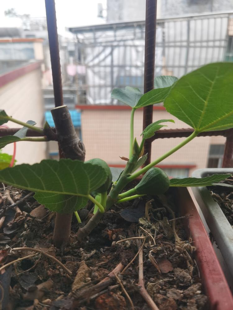 万物互联你我它