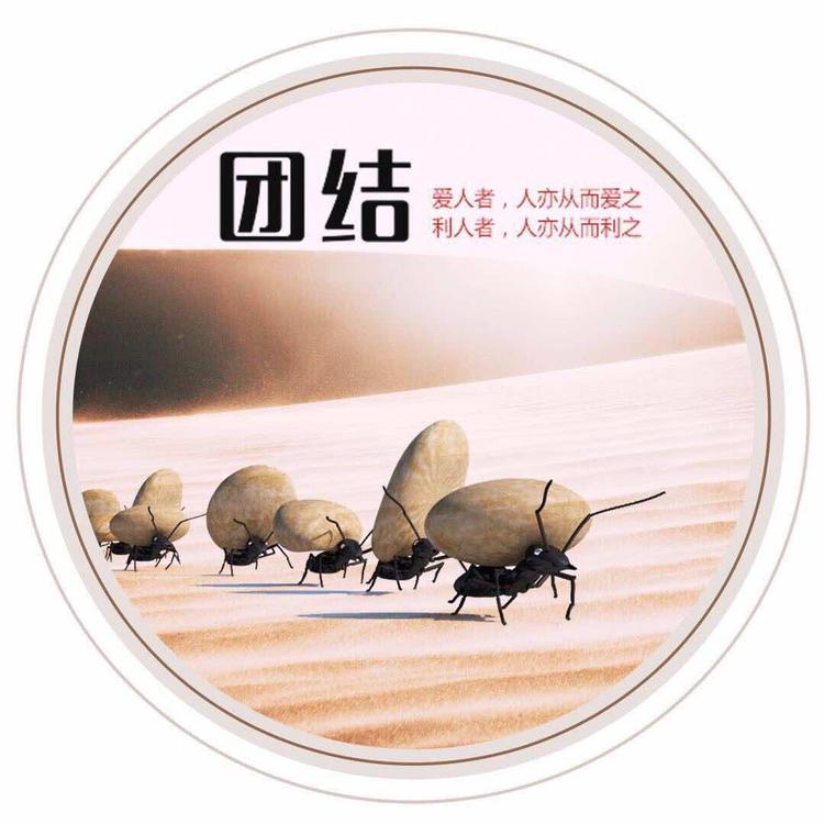静宁县大山湾农业发展有限公司