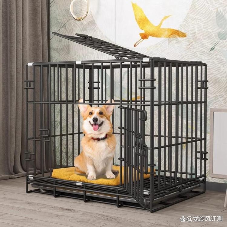 王莹莹优品精选