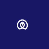 小Sung的橱窗