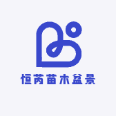 恒芮苗木盆景