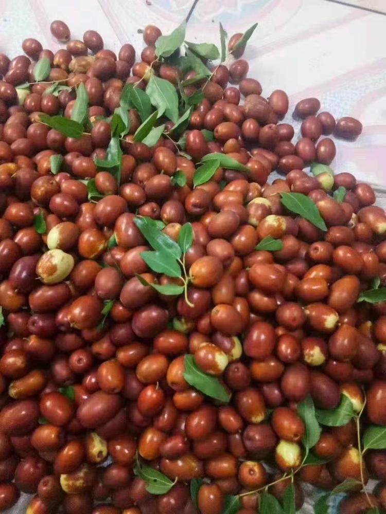 蒙恩食品优选