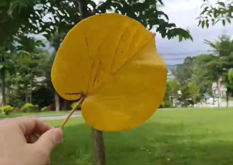 钟琪优品小铺