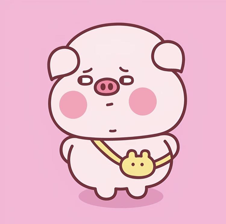 小仙猪买买