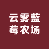 云雾蓝莓农场