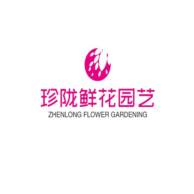 珍陇工艺品店