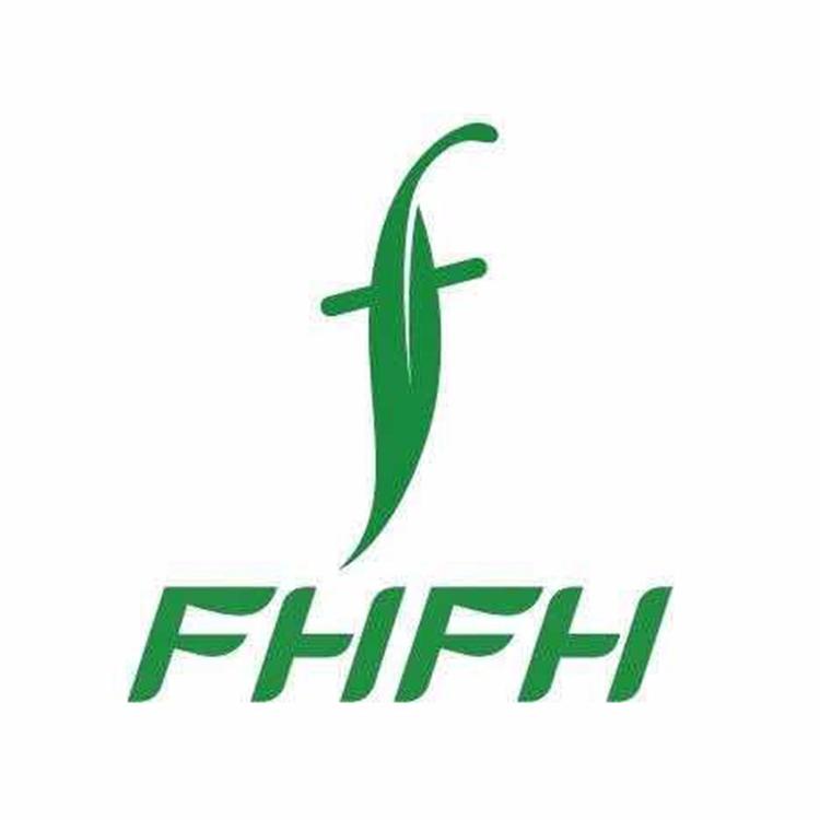 FHFH法斯恩精油鞋
