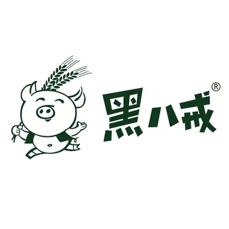 宁波黑八戒科技有限公司