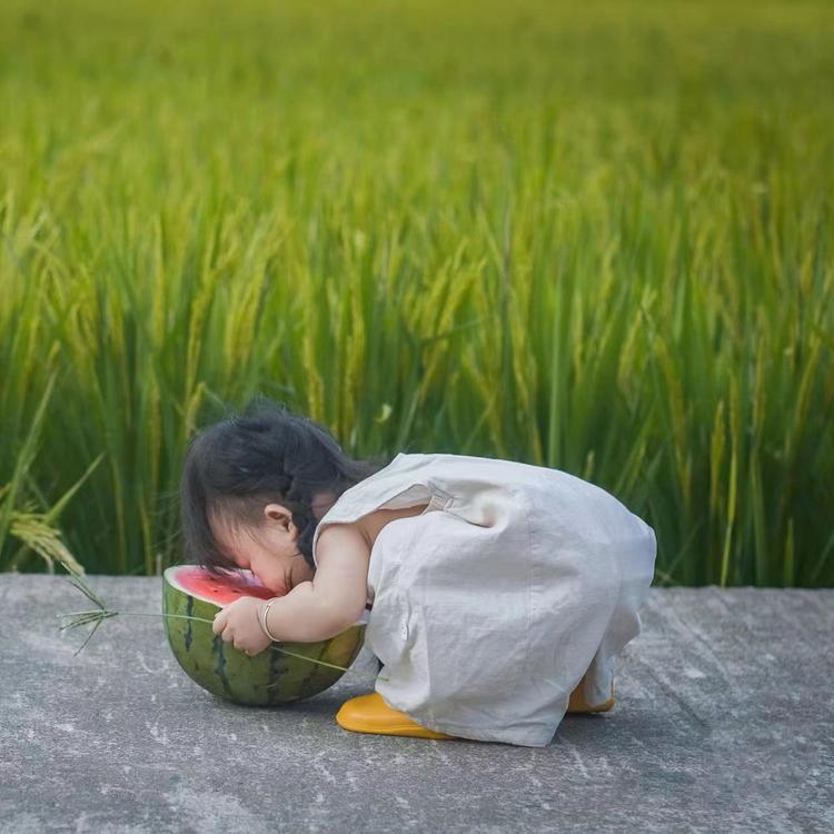 春欣花花