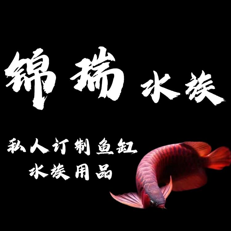 洛阳锦瑞水族