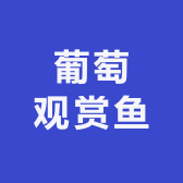 葡萄观赏鱼