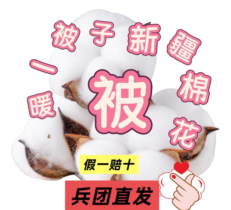 暖一被子新疆棉花被