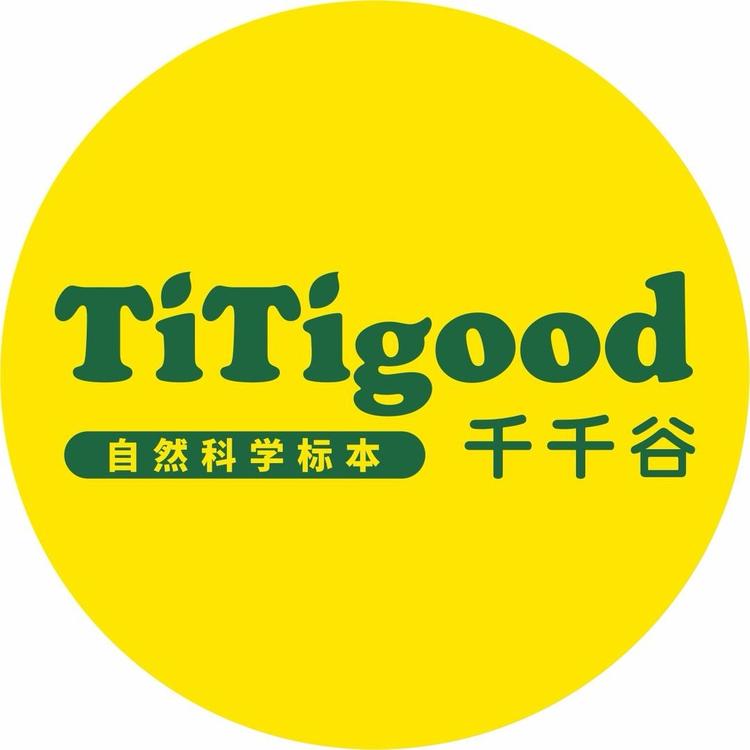 千千谷自然科学玩具