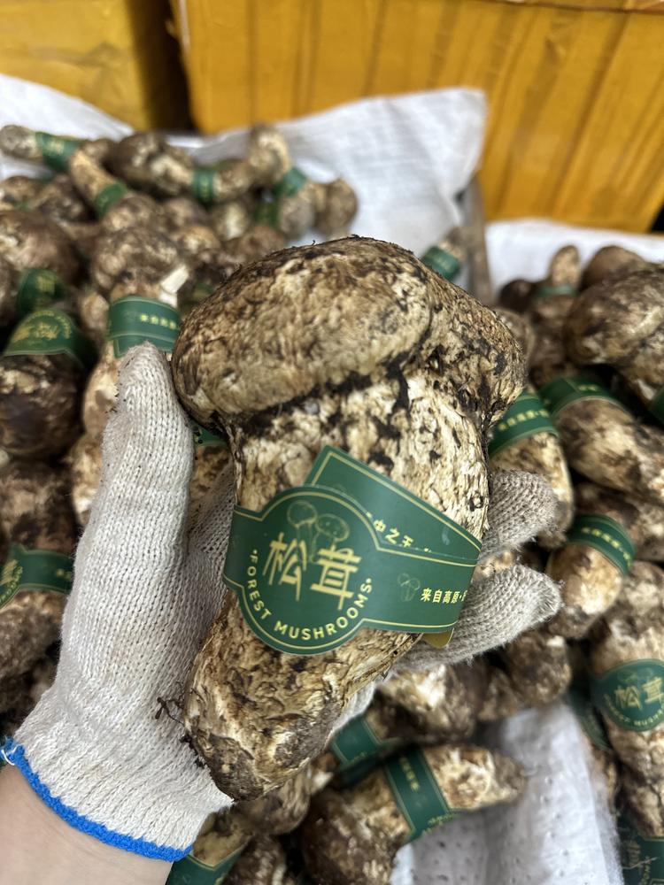 亮哥高品生鲜甄选