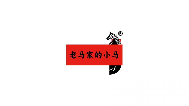 老马家的小马的强子