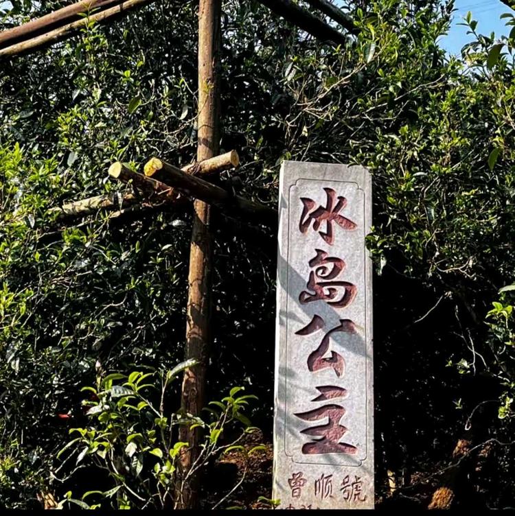 冰岛老寨76号曾顺号