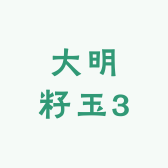 大明籽玉3