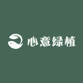 心意绿植