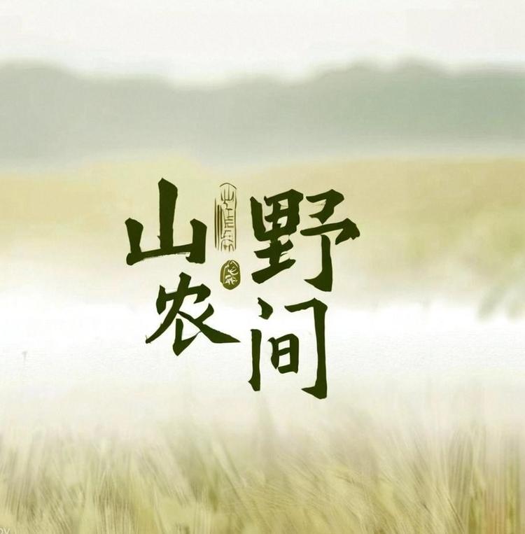 山野农间食品