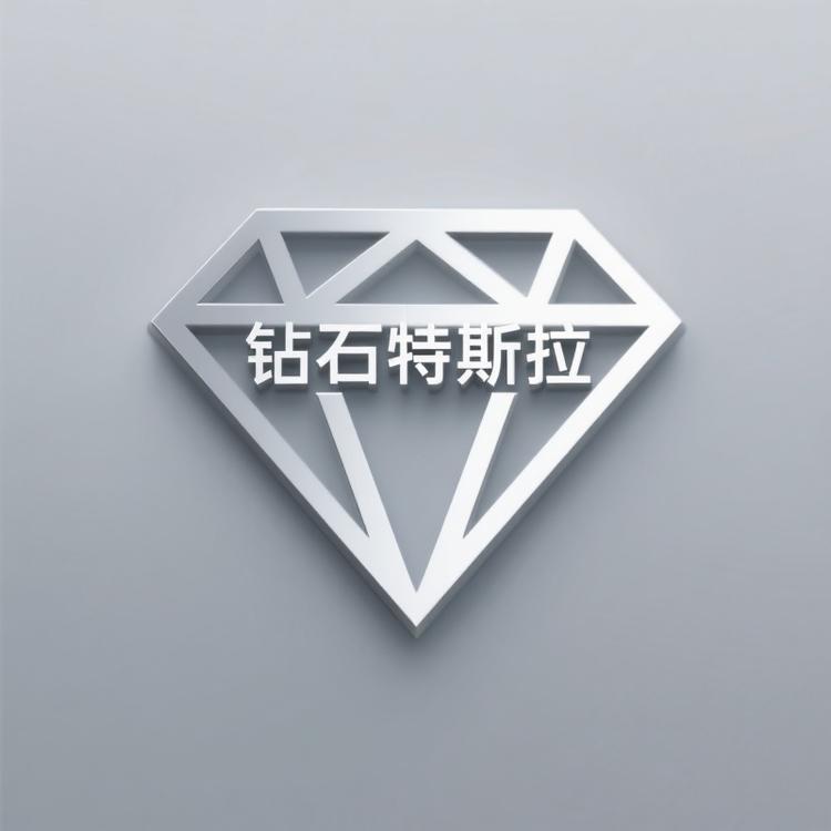 钻石特斯拉鞋类旗舰店
