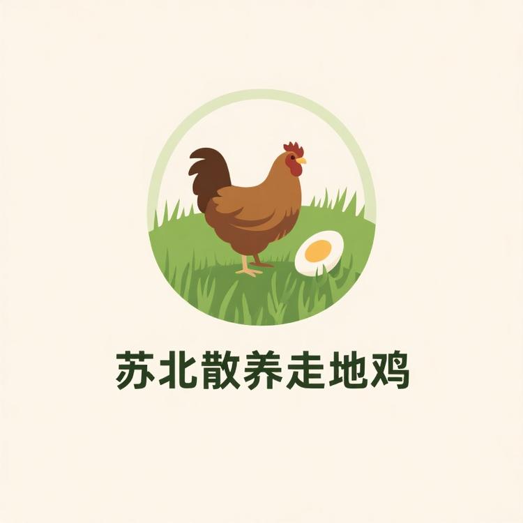 苏北散养走地鸡