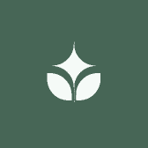 结缘记五行绳艺