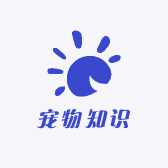 宠物知识分享官