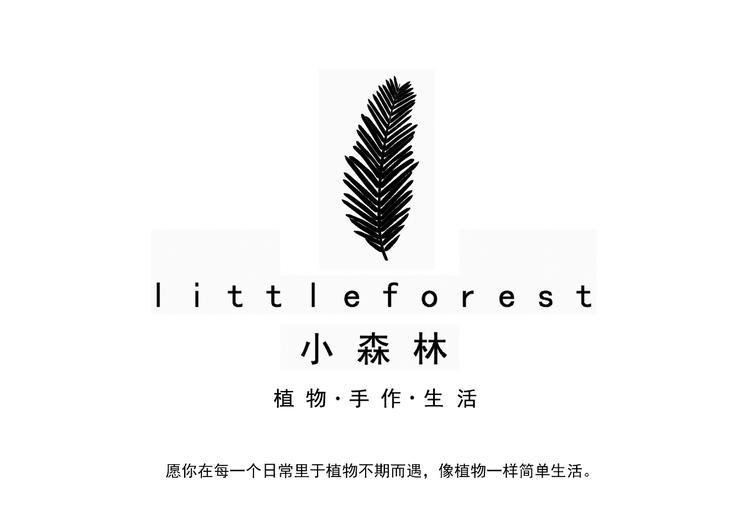 小森林植物手作