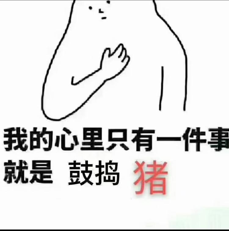 南昌县银三角李斌饲料店的小店