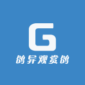 鸽异观赏鸽