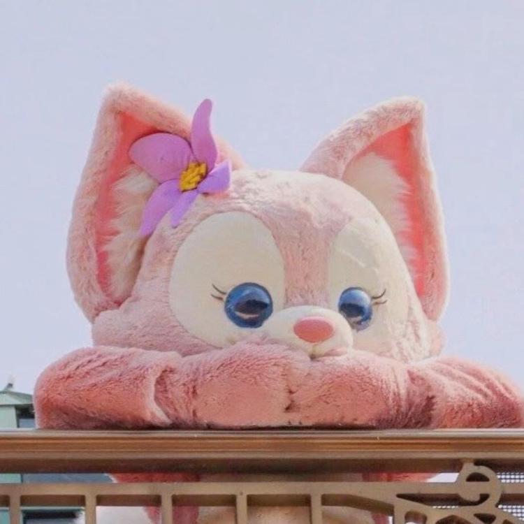 小玉猪手帐
