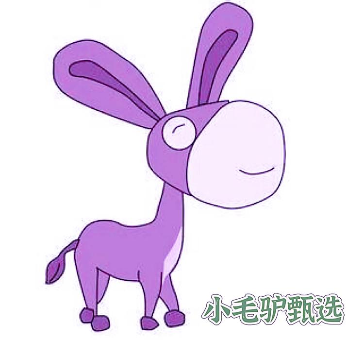 小毛驴甄选