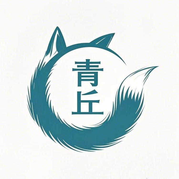 QINGQIU青丘手工穿戴甲