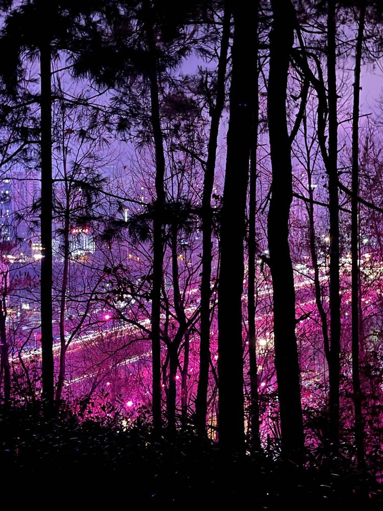 昭阳区京喜商贸店的小店个体店