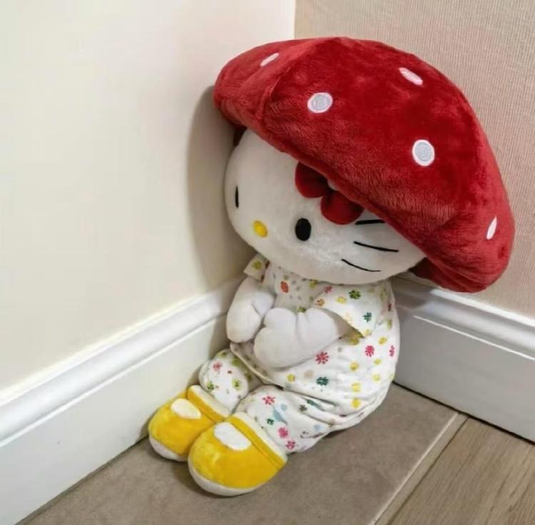 发财少女的毛绒屋