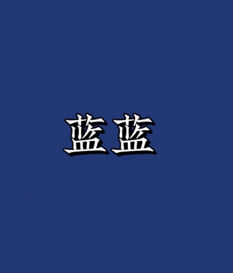 蓝蓝服饰个体店