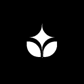 琴琴小生活