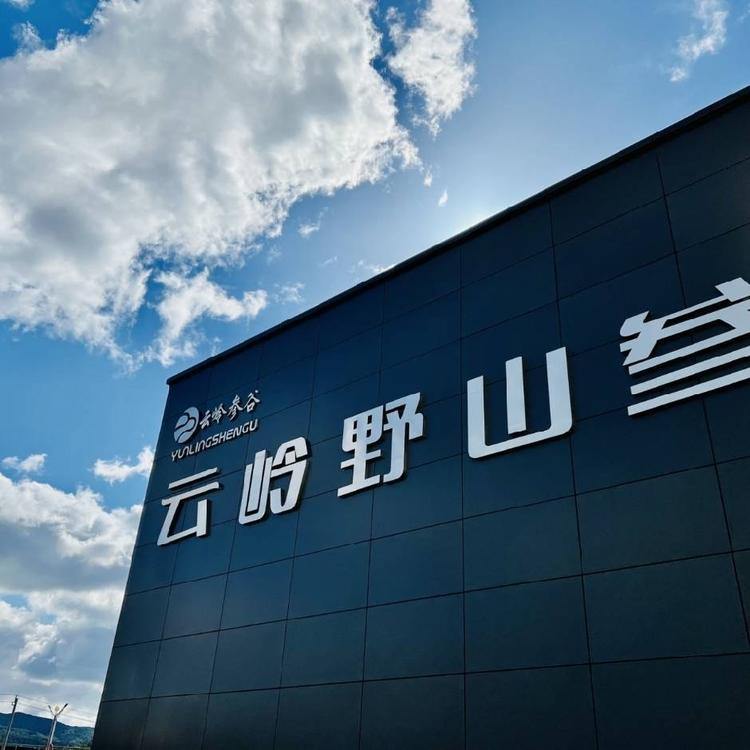 云岭参谷