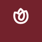 喝凤凰单丛茶平安喜乐