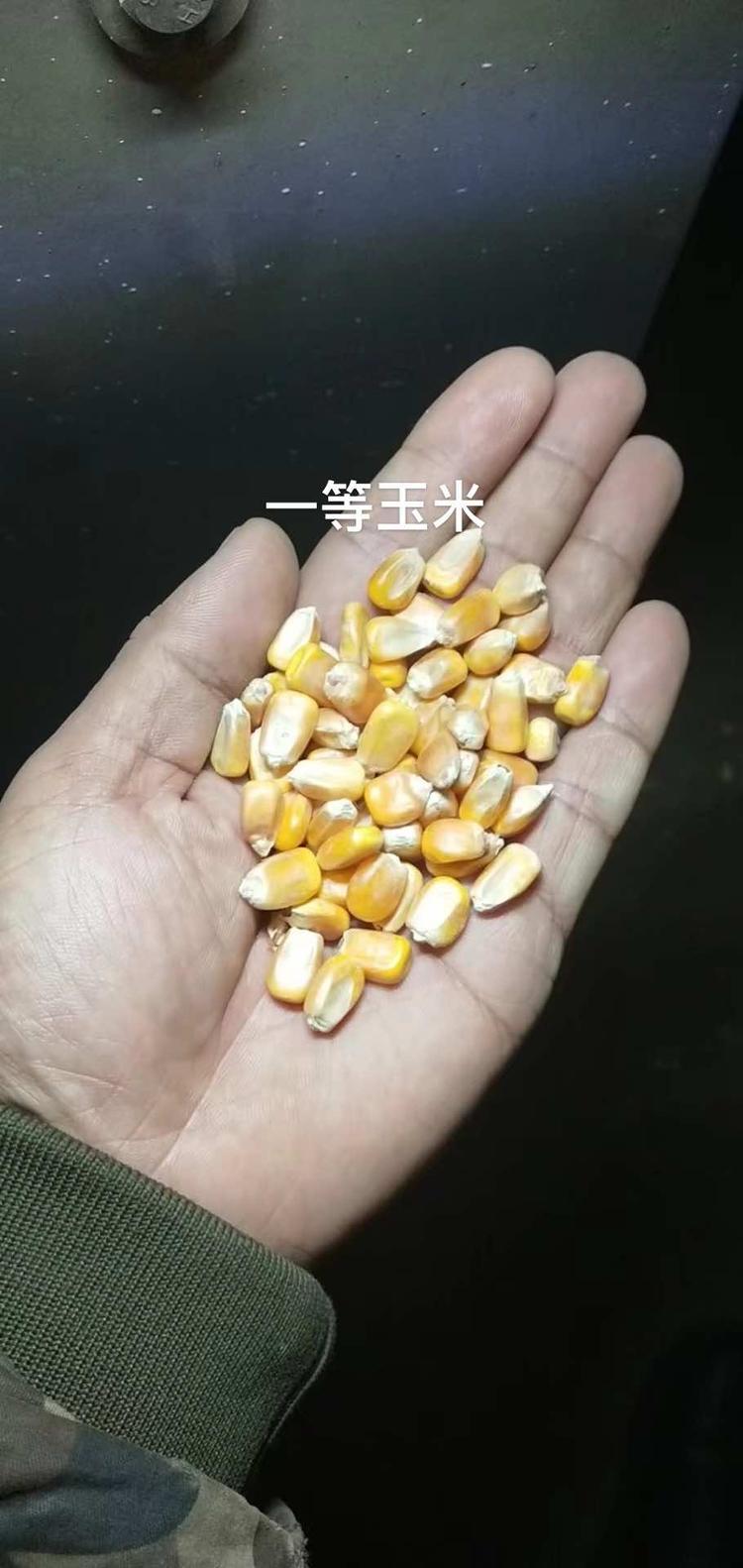 梁山鲁梁兴通粮贸中心的小店个体店