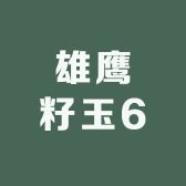 雄鹰籽玉6