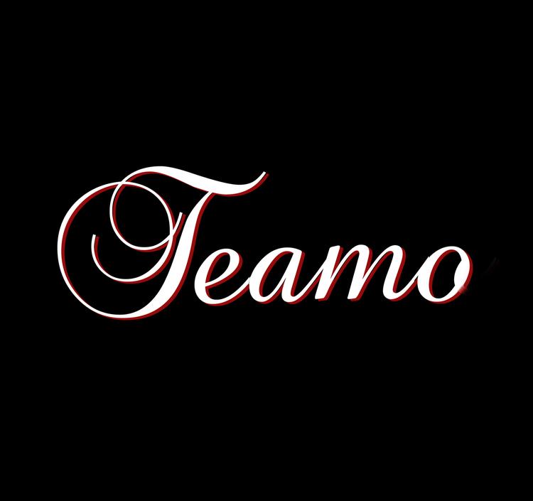 Teamo美术工作室