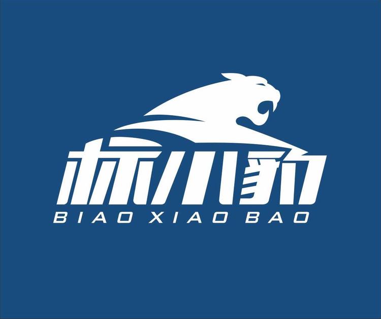标小豹起名