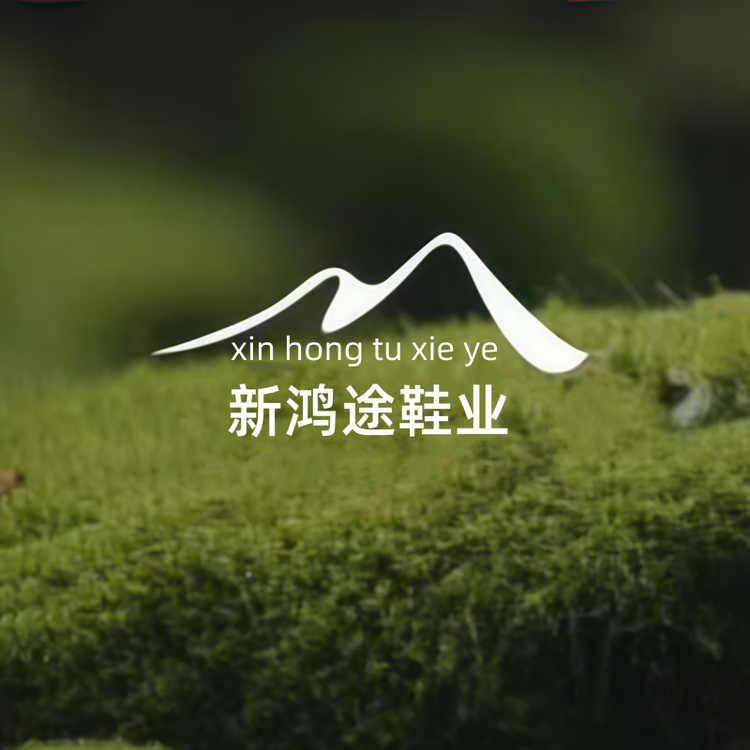 新鸿途男鞋